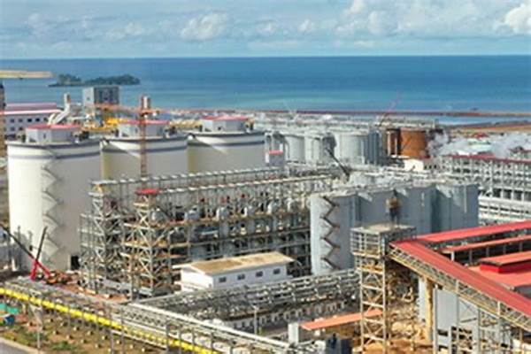 Pln & Pemerintah Daerah Bidik Proyek Investasi Kilang Minyak Baru Di Kalimantan, Target Kapasitas 1 Juta Barel Per Hari