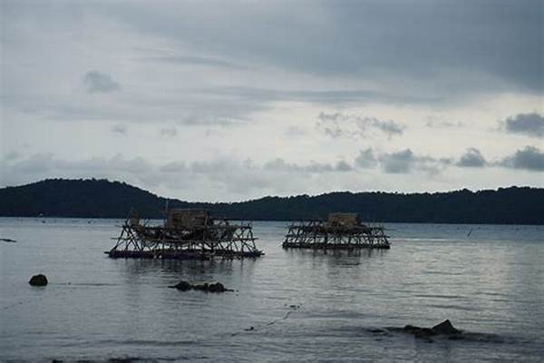 Pulau Lemukutan, Bengkayang – Potret Keindahan Terumbu Karang Dan Penangkaran Mutiara Sebagai Wisata Bahari 2025