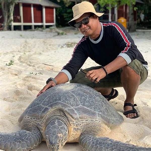 Pulau Sangalaki Populer Dengan Pesona Penyu Bertelur